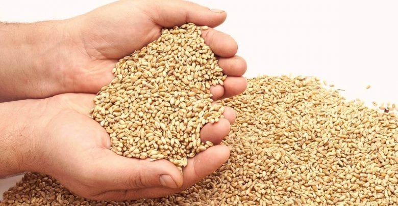 Zakat al-Fitr is QR15 for each individual this year: Ministry of Awqaf Zakat al-Fitr is QR15 for each individual this year: Ministry of Awqaf