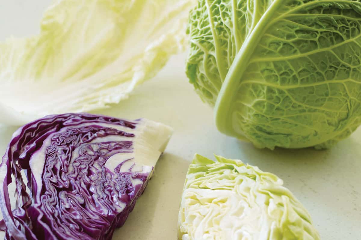 The health benefits of cabbage