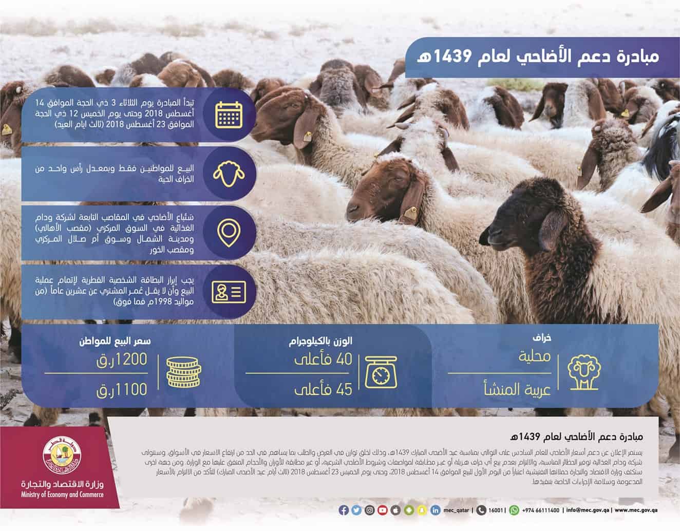 MEC provide 12,500 heads subsidised sheep to Qataris ahead of Eid al-Adha