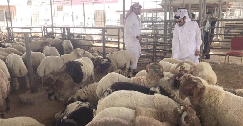 Inspection at Doha Central Market Inspection at Doha Central Market