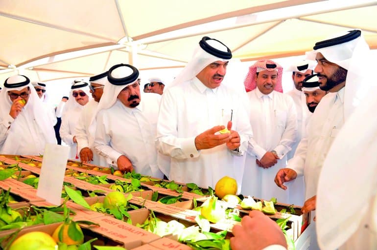 Winter vegetable markets a big hit among residents