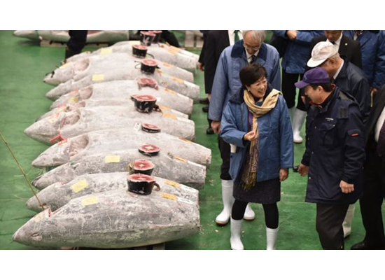 Tuna sells for record  million in auction at Tokyo's new fish market