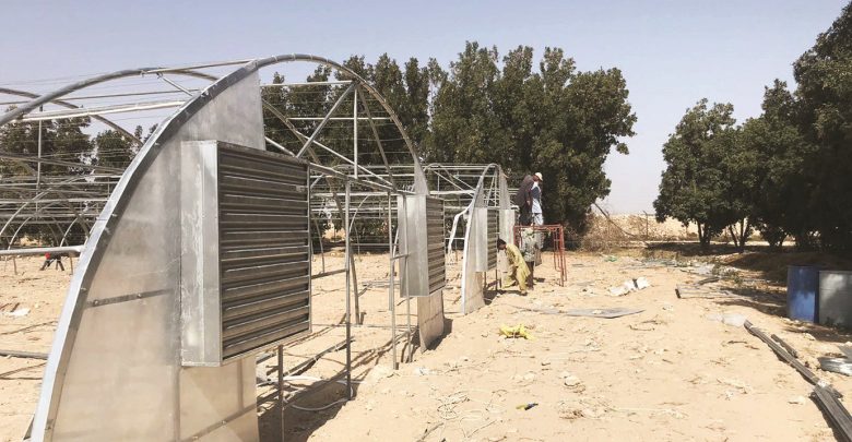 MME installs 350 greenhouses in 85 local farms to raise production MME installs 350 greenhouses in 85 local farms to raise production