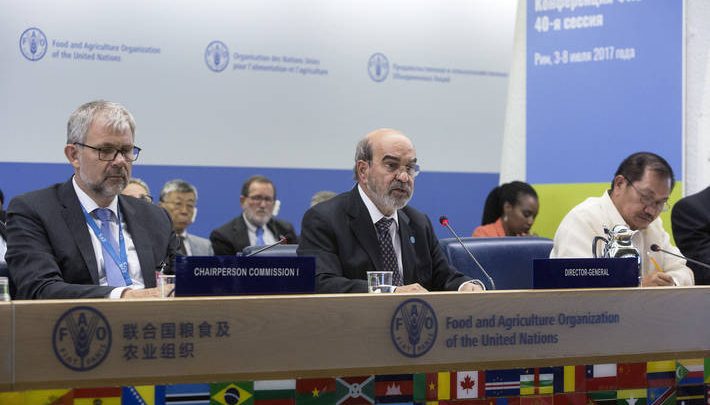 Qatar elected unanimously as Vice-President of FAO General Conference Qatar elected unanimously as Vice-President of FAO General Conference