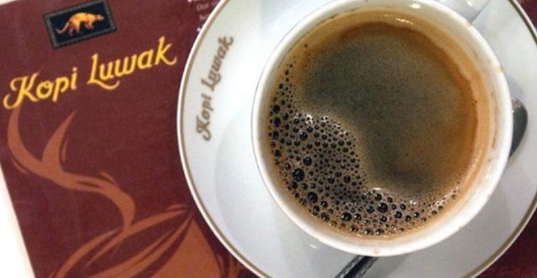 The Disturbing Secret Behind the World's Most Expensive Coffee The Disturbing Secret Behind the World's Most Expensive Coffee