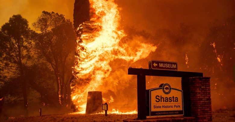 Australia declares state of emergency in two states due to fires Australia declares state of emergency in two states due to fires