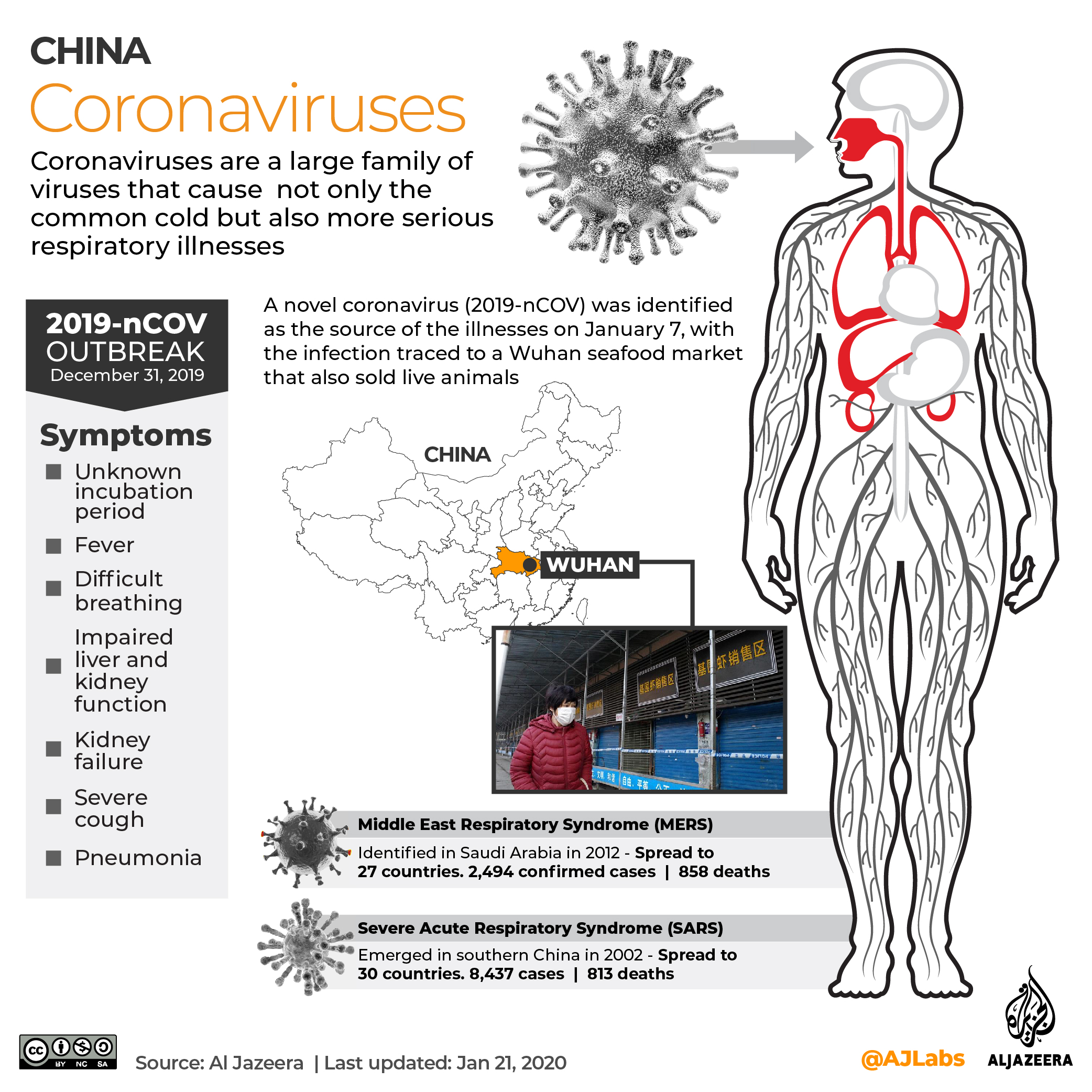 Which countries have confirmed cases of new coronavirus?