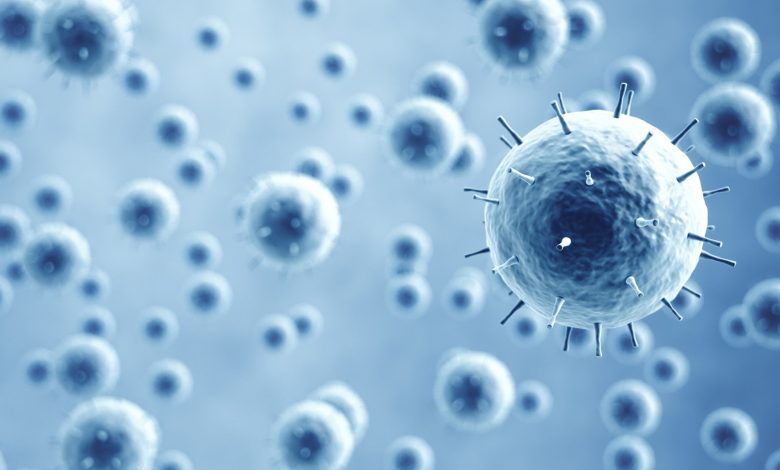 MoPH reports 1526 new confirmed cases of coronavirus MoPH reports 1526 new confirmed cases of coronavirus