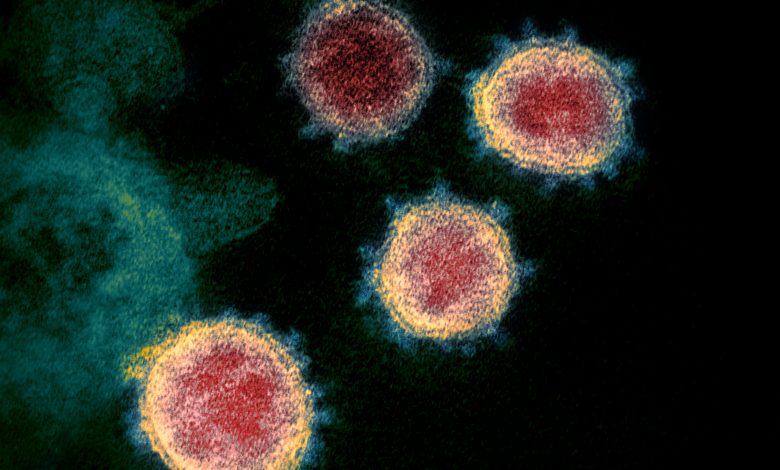 Scientists created the first substance to slow the spread of coronavirus infection Scientists created the first substance to slow the spread of coronavirus infection