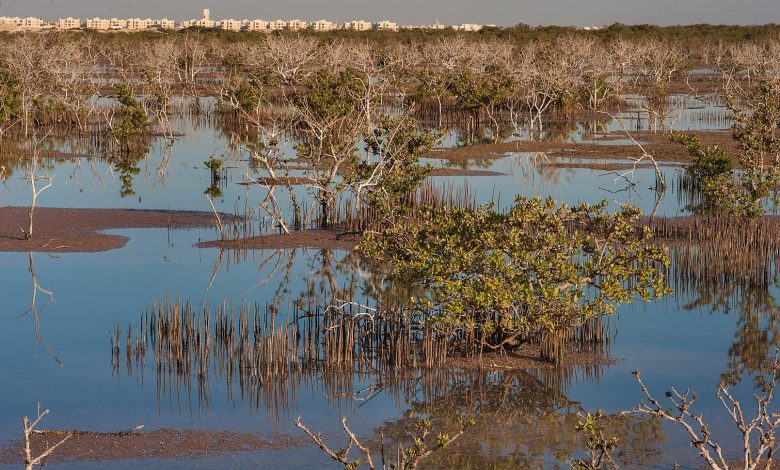 MME Announces Wildlife Protection Project MME Announces Wildlife Protection Project
