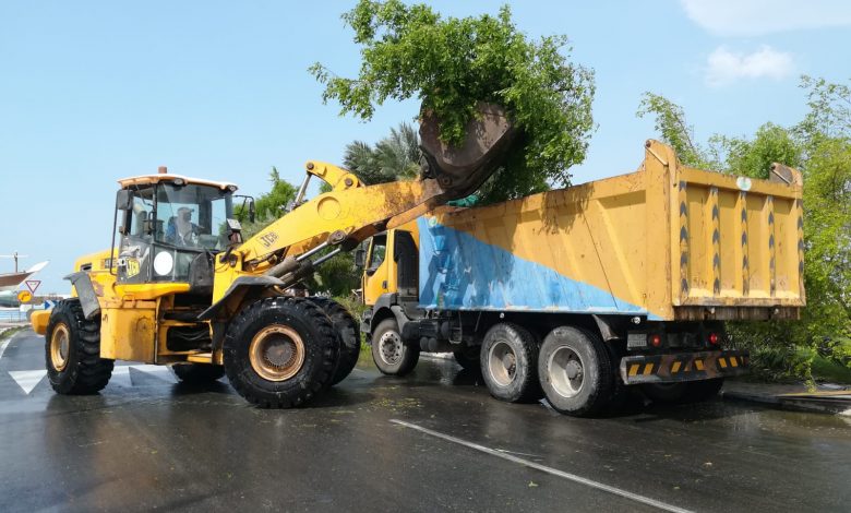 Ministry lifts broken trees after rains Ministry lifts broken trees after rains