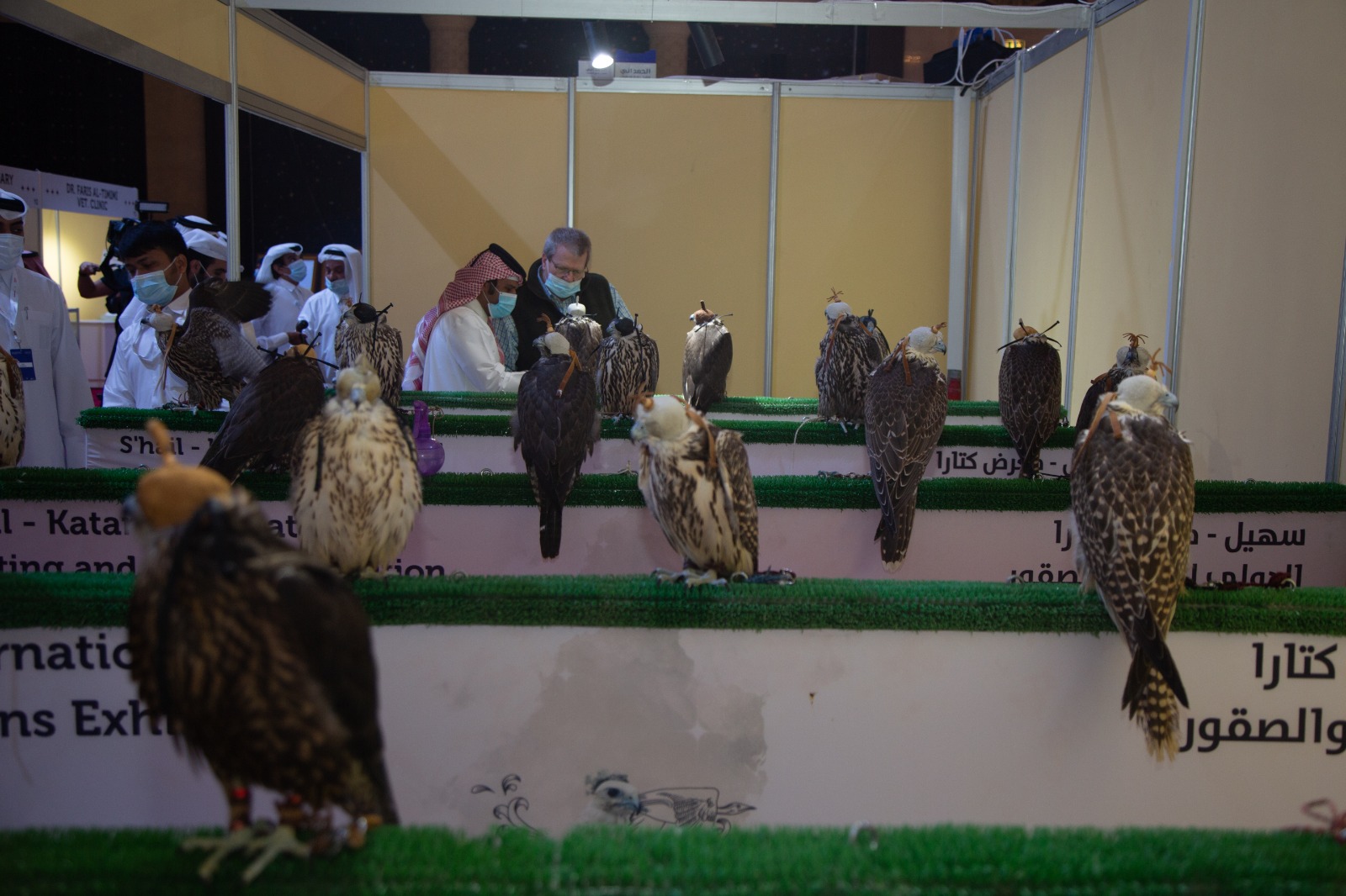 Katara International Hunting and Falcons 2020 Kicks Off