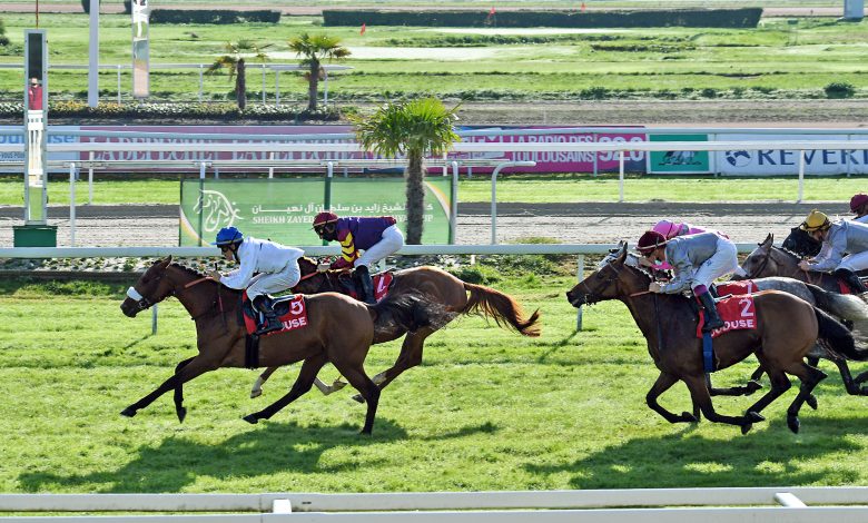 HM JALFANE Remains Unbeaten With Group Victory HM JALFANE Remains Unbeaten With Group Victory