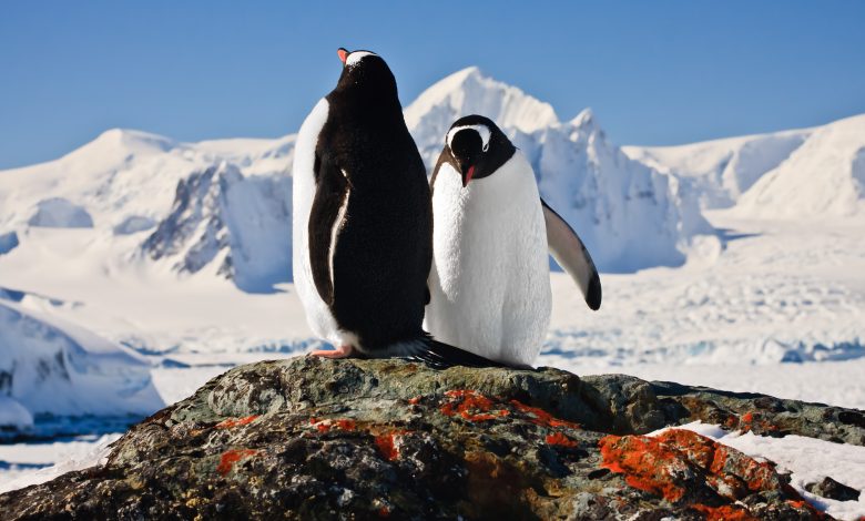 Antarctica is experiencing its hottest temperatures in 3 decades Antarctica is experiencing its hottest temperatures in 3 decades