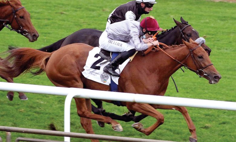 Al Shaqab Racing's LUCKY LYCRA Makes Her Grand Exit Al Shaqab Racing's LUCKY LYCRA Makes Her Grand Exit