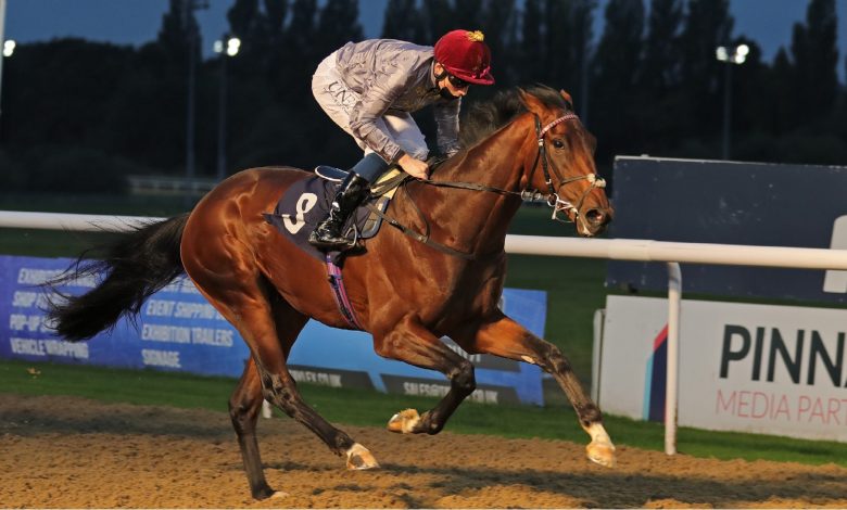 NOMAN Achieves Victory for Al Shaqab Racing NOMAN Achieves Victory for Al Shaqab Racing
