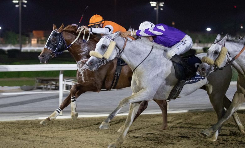 Injaaz Studs LEKHRAIB Sprints to Doha Cup Glory Injaaz Studs LEKHRAIB Sprints to Doha Cup Glory