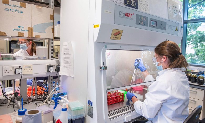 New vaccine gives rise to hope for the end of Coronavirus and 100% protection for acute cases New vaccine gives rise to hope for the end of Coronavirus and 100% protection for acute cases