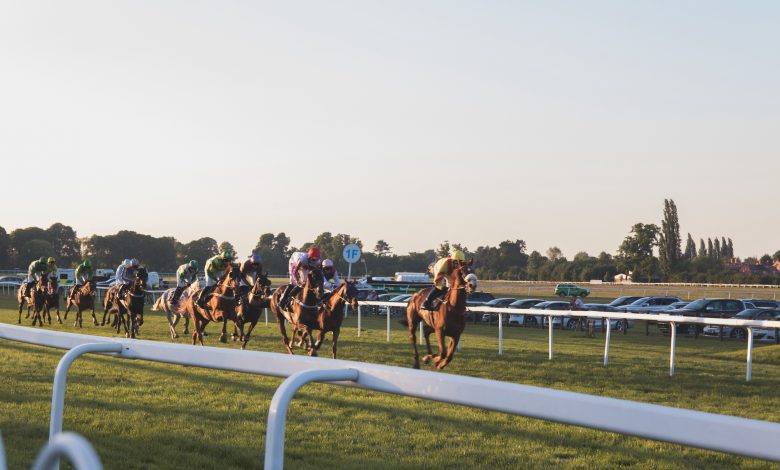 QREC to Organize Qatar Derby Festival QREC to Organize Qatar Derby Festival