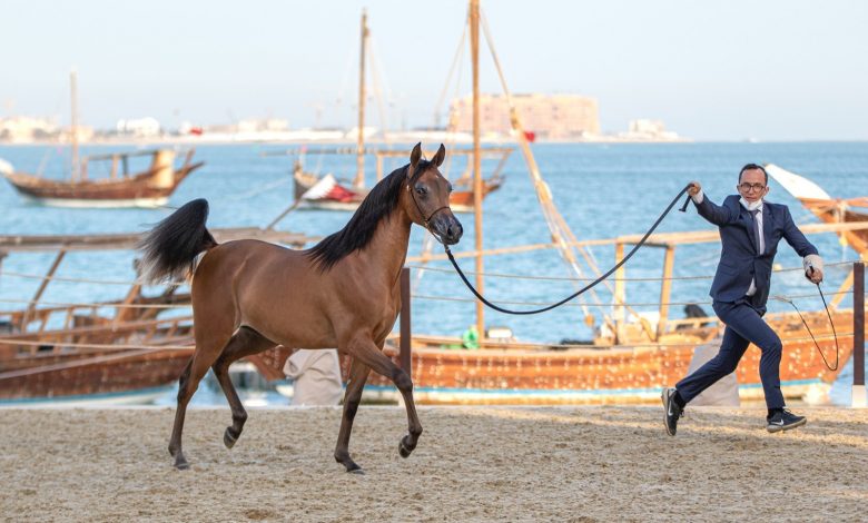 Katara Title Show Contest Kicks Off Katara Title Show Contest Kicks Off