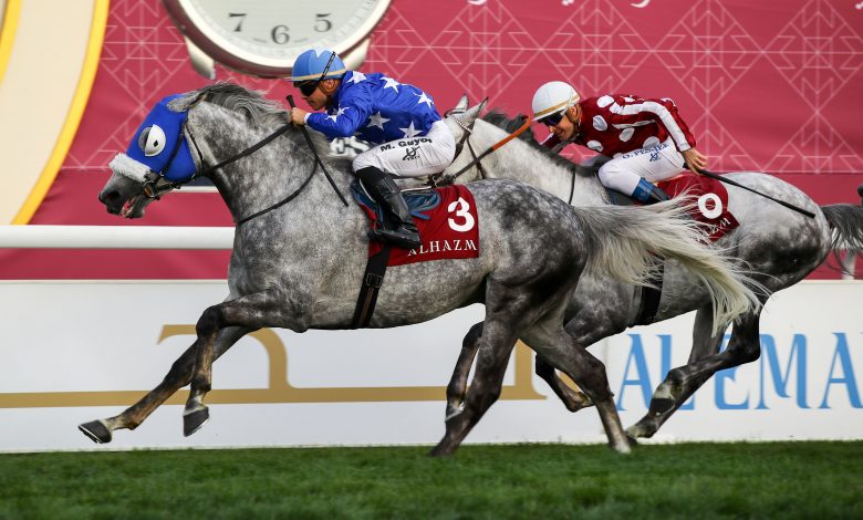 Top Europeans Take on Qatar's Best Races in Amir Sword Festival Top Europeans Take on Qatar's Best Races in Amir Sword Festival