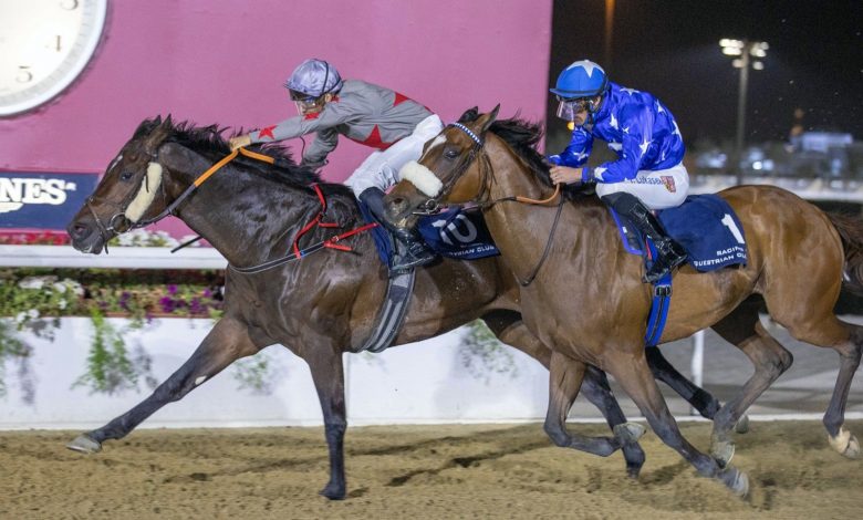 ZARANDI Shines in Mesaimeer Cup Feature Victory ZARANDI Shines in Mesaimeer Cup Feature Victory