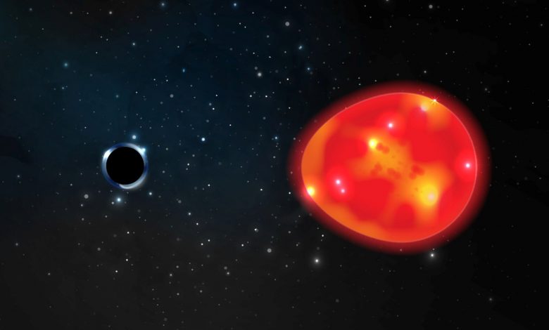 A black hole dubbed 'the Unicorn' may be galaxy's smallest one A black hole dubbed 'the Unicorn' may be galaxy's smallest one
