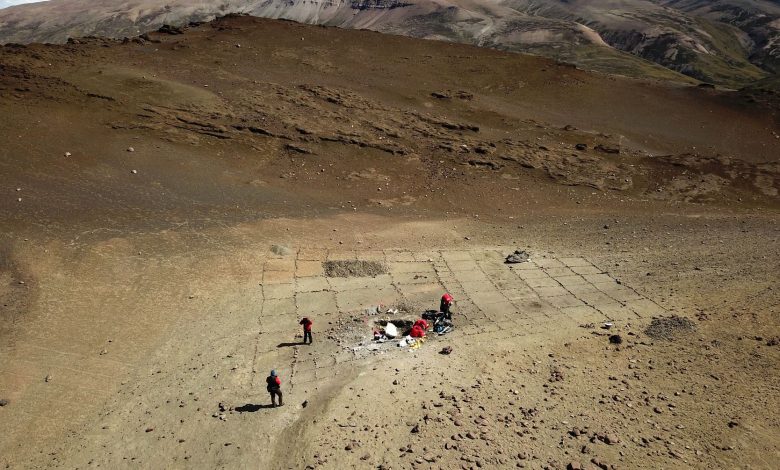 Dinosaur remains discovered amid world's driest desert Dinosaur remains discovered amid world's driest desert