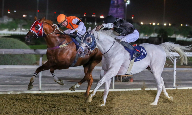 Qatar Racing and Equestrian Club to Hold Al Wakra Cup Qatar Racing and Equestrian Club to Hold Al Wakra Cup