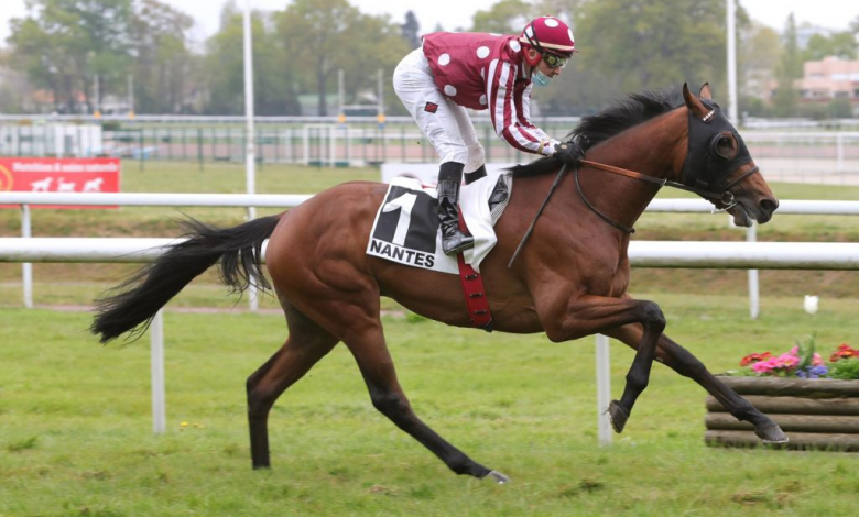 PEARL TREE Wins Prix de la Duchesse Anne PEARL TREE Wins Prix de la Duchesse Anne