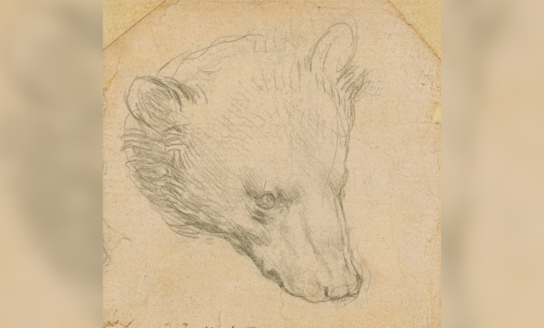 Da Vinci's 'Head of Bear' drawing seen fetching up to $16 mln Da Vinci's 'Head of Bear' drawing seen fetching up to $16 mln
