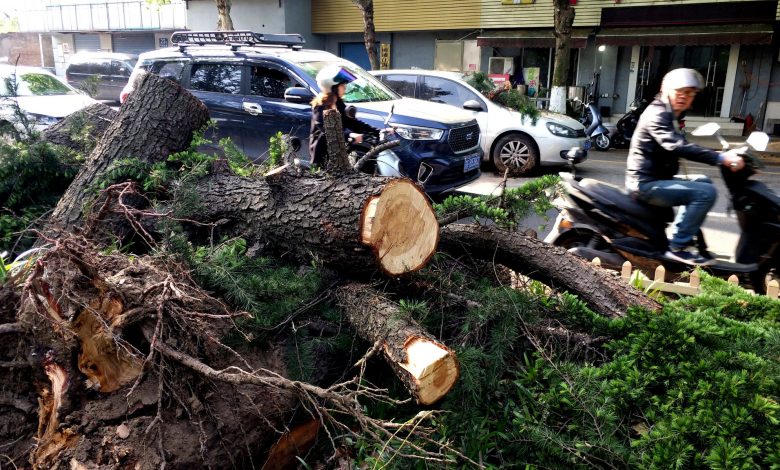 Eleven killed after extreme weather hits east China Eleven killed after extreme weather hits east China