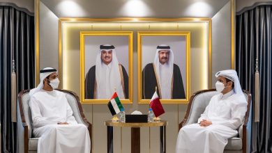 Foreign Minister Meets UAE Minister of State in the Ministry of Foreign Affairs and International Cooperation