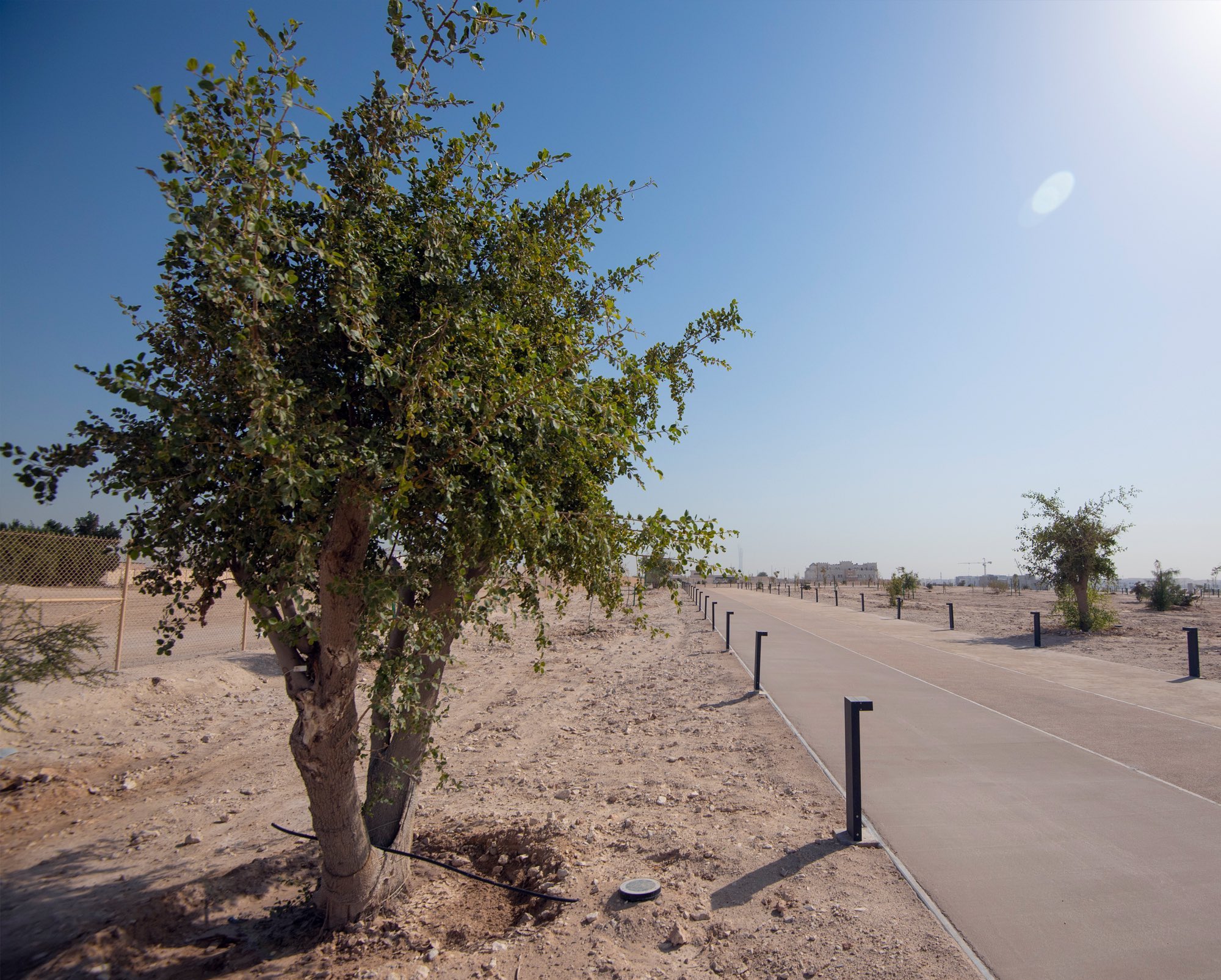 Ashghal Announces Completion of Development Works of Al Wadi Park Natural Reserve