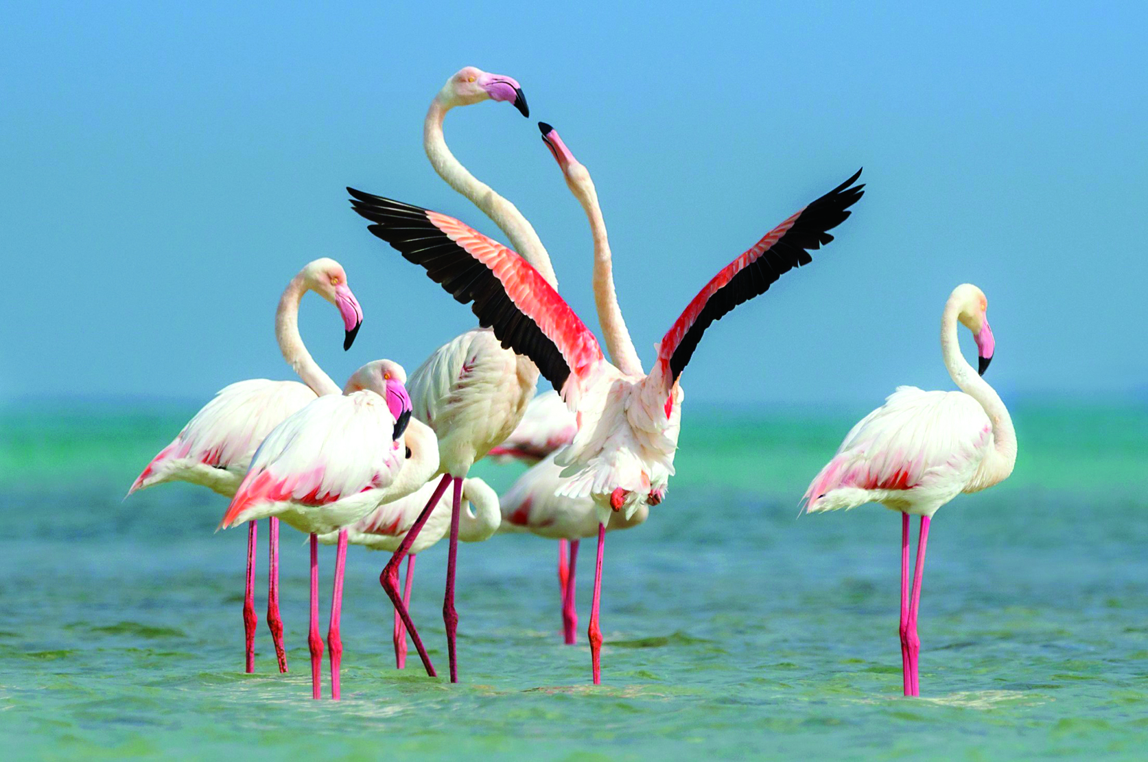 Al Karaana Lagoon to become an environmental tourist resort