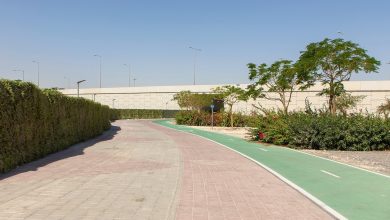 Ashghal announces four pedestrian paths lined with trees to help reduce temperature