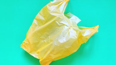 Qatar Cabinet approves draft resolution prohibiting single-use plastic bags