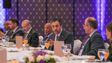 Minister of Labor Confirms Importance of Joint Coordination to Unify Arab Position in ILO