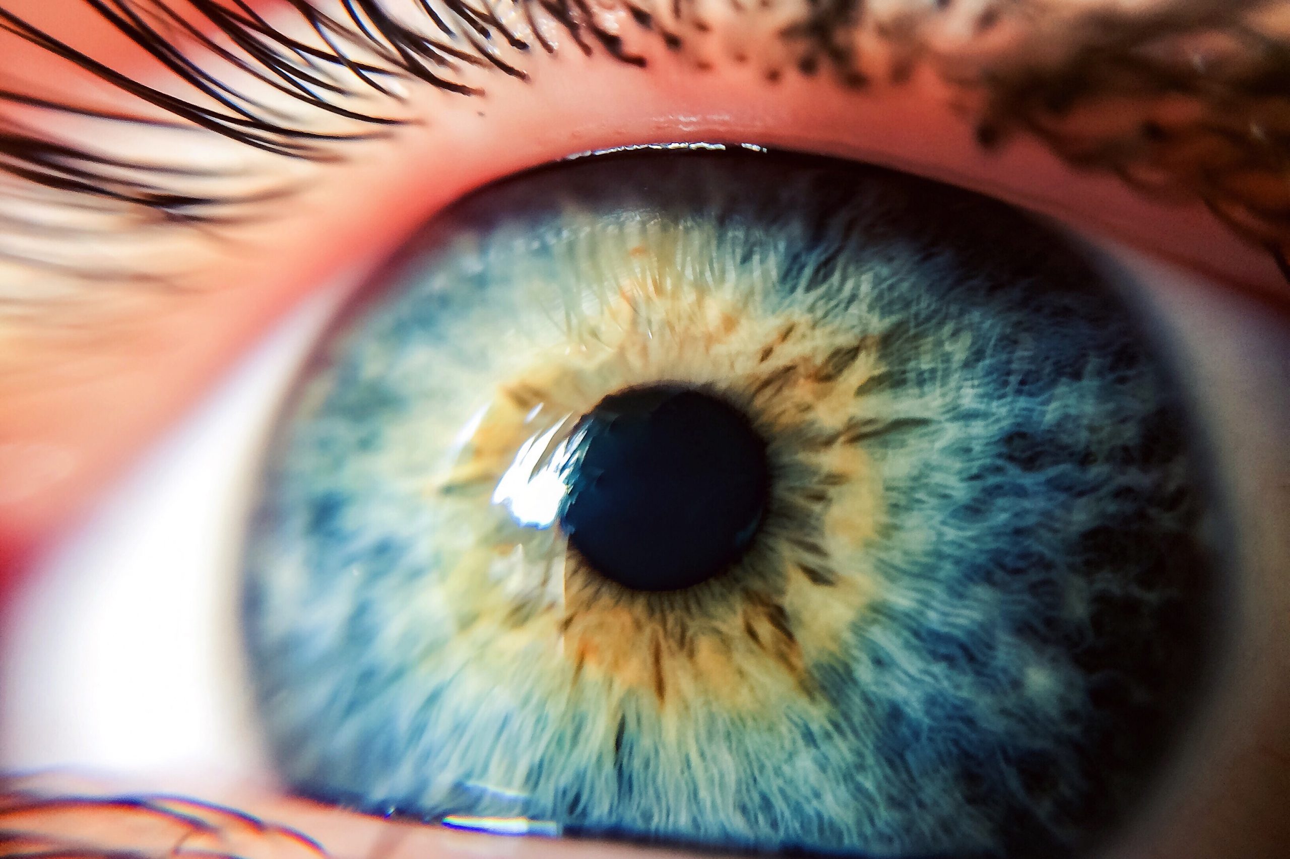 How many pixels? 7 surprising facts you may not know about your eyes
